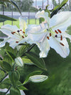 Luscious Lillies Large Wall Art