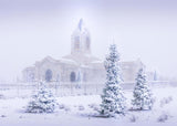 Fort Collins Shelter from the Storm