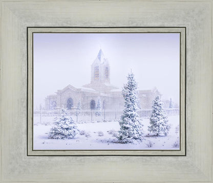 Fort Collins Shelter from the Storm