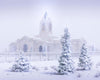 Fort Collins Shelter from the Storm