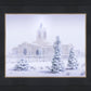 Fort Collins Shelter from the Storm