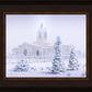 Fort Collins Shelter from the Storm