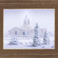 Fort Collins Shelter from the Storm