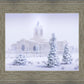 Fort Collins Shelter from the Storm