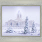 Fort Collins Shelter from the Storm