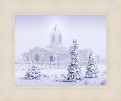 Fort Collins Shelter from the Storm