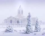 Fort Collins Shelter from the Storm