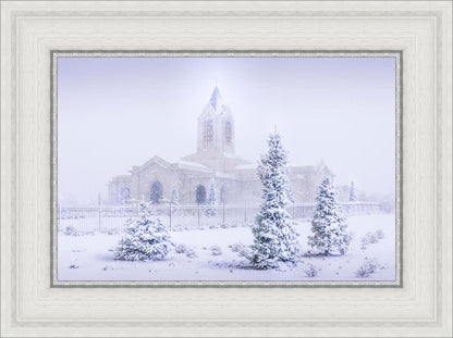 Fort Collins Shelter from the Storm