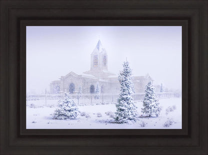 Fort Collins Shelter from the Storm