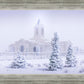 Fort Collins Shelter from the Storm