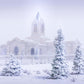 Fort Collins Shelter from the Storm