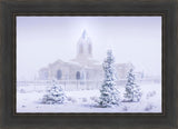 Fort Collins Shelter from the Storm