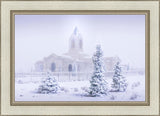 Fort Collins Shelter from the Storm