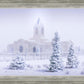 Fort Collins Shelter from the Storm