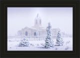 Fort Collins Shelter from the Storm