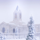 Fort Collins Shelter from the Storm