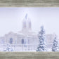 Fort Collins Shelter from the Storm