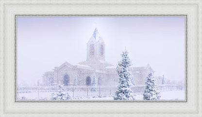 Fort Collins Shelter from the Storm