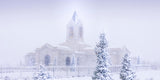 Fort Collins Shelter from the Storm