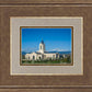 Fort Collins Shepherd of the Rocky Mountains