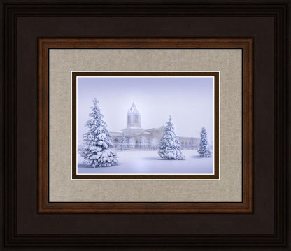 Fort Collins Protection from the Storm