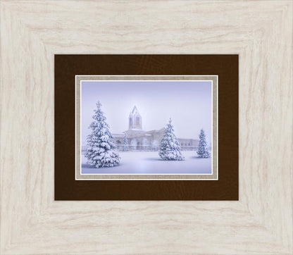 Fort Collins Protection from the Storm