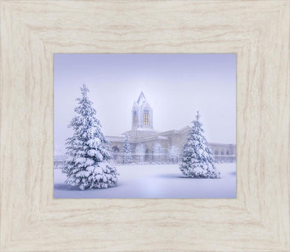 Fort Collins Protection from the Storm