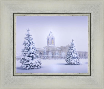 Fort Collins Protection from the Storm