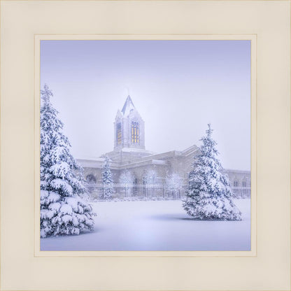 Fort Collins Protection from the Storm