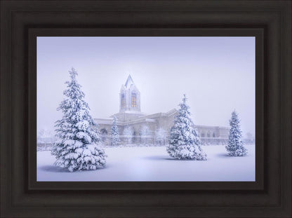 Fort Collins Protection from the Storm