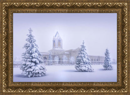 Fort Collins Protection from the Storm