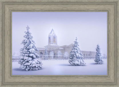 Fort Collins Protection from the Storm