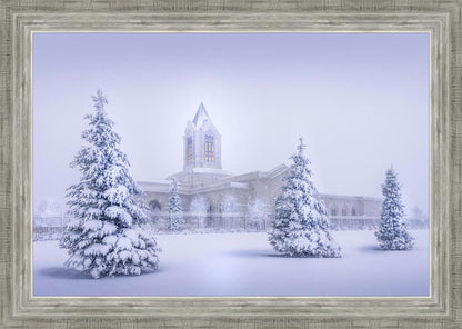 Fort Collins Protection from the Storm