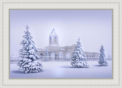 Fort Collins Protection from the Storm