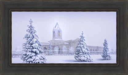 Fort Collins Protection from the Storm