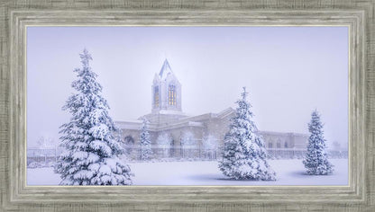 Fort Collins Protection from the Storm