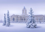 Fort Collins Storm Shelter