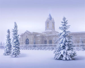 Fort Collins Storm Shelter