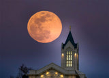 Fort Collins Night Flight