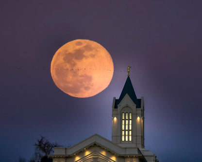 Fort Collins Night Flight