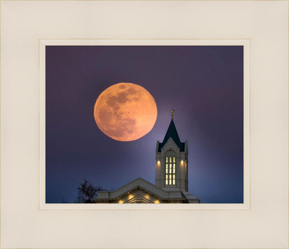 Fort Collins Night Flight