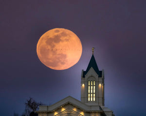 Fort Collins Night Flight