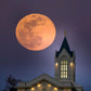 Fort Collins Night Flight
