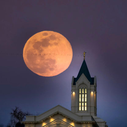 Fort Collins Night Flight