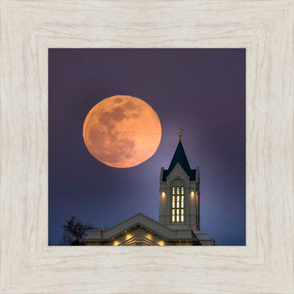 Fort Collins Night Flight