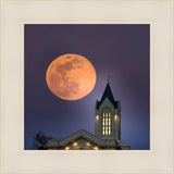 Fort Collins Night Flight