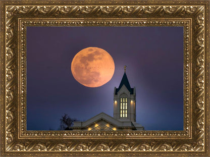 Fort Collins Night Flight