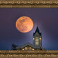 Fort Collins Night Flight