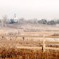 Fort Collins All is Safely Gathered In