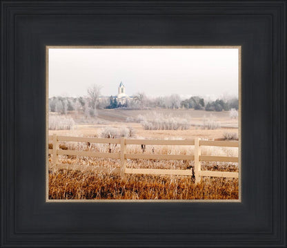 Fort Collins All is Safely Gathered In